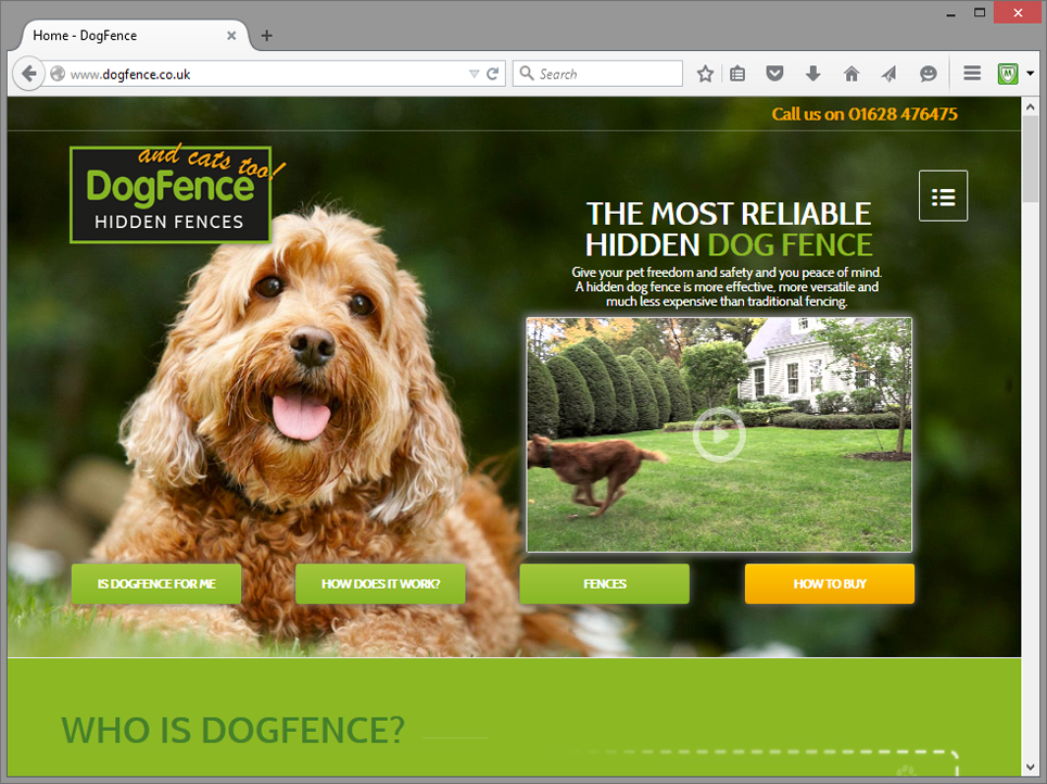 Dogfence website design